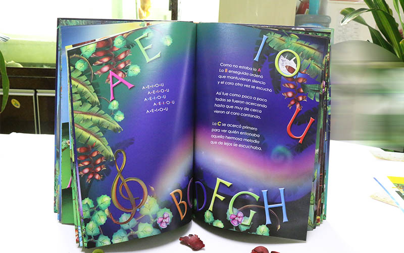 畫冊印刷 畫冊印刷