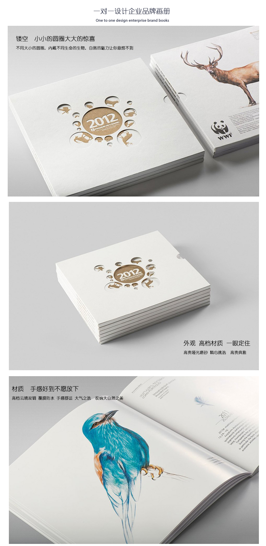 精美生物畫冊、精裝畫冊