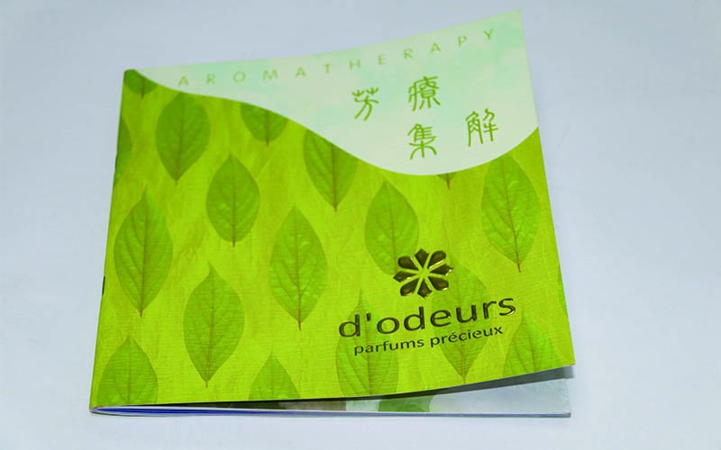 畫冊印刷,畫冊設計印刷廠家,高檔畫冊印刷廠家 畫冊印刷,畫冊設計印刷廠家,高檔畫冊印刷廠家